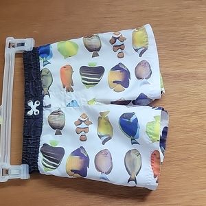 Boys Swimwear